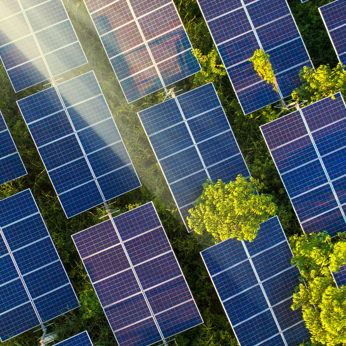 Toppvisning av store solcellepaneler i en skog, med treblader synlig mellom panelene